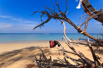 Image showing Paradisiac beach in Phuket 