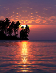 Image showing sea and coconut palm