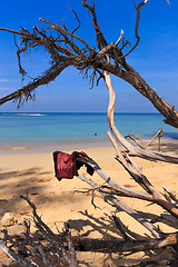 Image showing Paradisiac beach in Phuket 