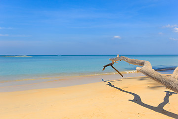 Image showing Paradisiac beach in Phuket 