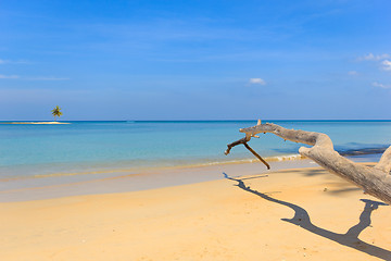 Image showing Paradisiac beach in Phuket 