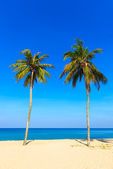 Image showing Paradisiac beach in Phuket 