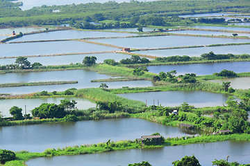 Image showing Fish hatchery pond