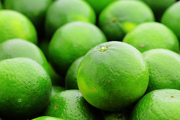 Image showing lime citrus fruit