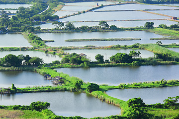 Image showing Fish hatchery pond