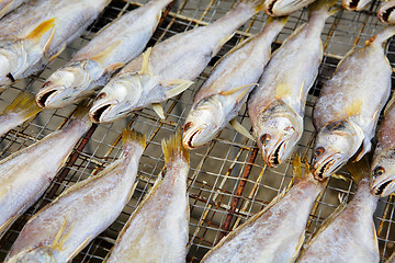 Image showing dry salt fish