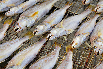 Image showing dry salt fish