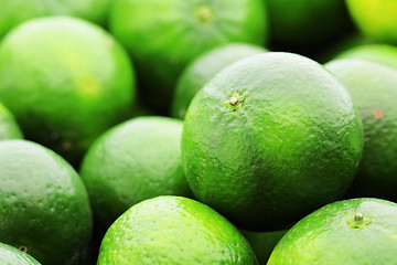 Image showing lime citrus fruit