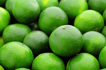 Image showing lime citrus