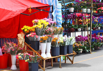 Image showing flower fair for chinese new year