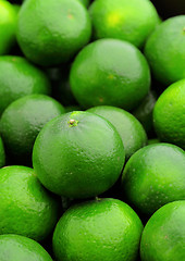 Image showing lime citrus