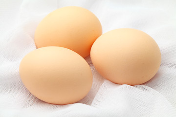 Image showing Eggs 