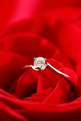 Image showing rose and ring