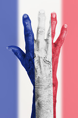 Image showing Old hand with flag, European Union, France