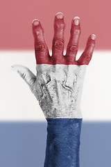 Image showing Old hand with flag, European Union, Netherlands