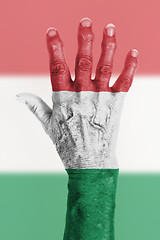 Image showing Old hand with flag, European Union, Hungary