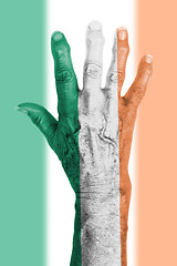 Image showing Old hand with flag, European Union, Ireland