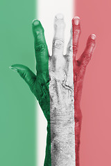 Image showing Old hand with flag, European Union, Italy