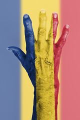 Image showing Old hand with flag, European Union, Romania