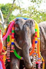 Image showing Elephants at the Phuket lighthouse