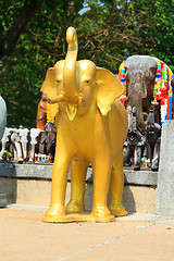 Image showing Elephants at the Phuket lighthouse