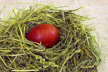 Image showing Easter still life. Egg in the hay