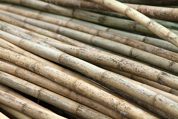 Image showing Stack of bamboos