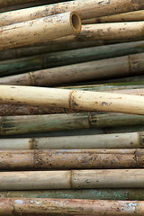 Image showing Stack of bamboos