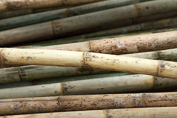 Image showing Stack of bamboos