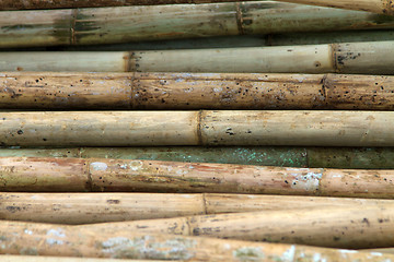 Image showing Stack of bamboos