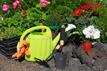 Image showing planting flowers with garden tools ,various flowers and herbs in