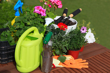 Image showing planting flowers with garden tools ,various flowers and herbs in