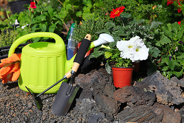 Image showing planting flowers with garden tools ,various flowers and herbs in