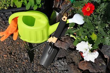 Image showing planting flowers with garden tools ,various flowers and herbs in