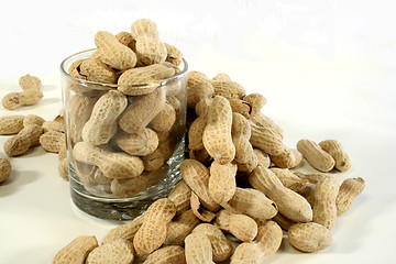 Image showing Peanuts