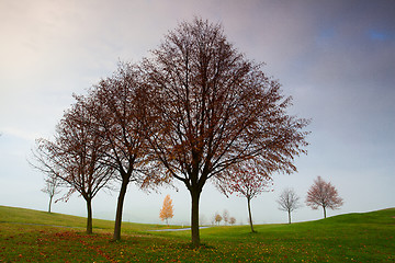 Image showing On the golf course in Prague