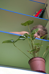 Image showing playful kid hiding behind the plant on a shelf