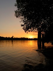 Image showing River Sunset