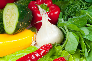 Image showing Different vegetables