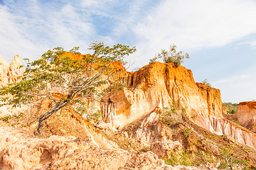 Image showing Marafa Canyon - Kenya