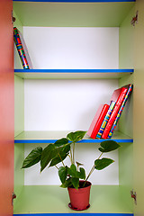 Image showing shelves with a plant and books