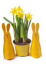 Image showing Yellow narcissus in the pot and two bunnies