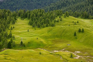 Image showing Alpine field