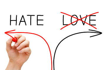 Image showing Hate or Love