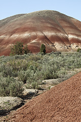 Image showing Detail, Painted Hills Unit, John Day National Monument