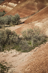 Image showing Detail, Painted Hills Unit, John Day National Monument