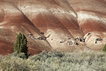 Image showing Detail, Painted Hills Unit, John Day National Monument