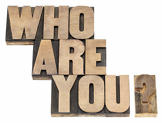 Image showing Who are you question