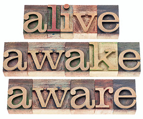 Image showing alive, awake, aware 