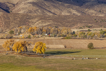 Image showing farmland at Colorado foothills